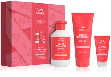 Wella Professionals Darilni set Color Brilliance