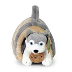 Rappa Plišasti pes Husky z zabojčkom 13 cm EKOLOŠKO PRIJAZNO