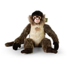 Rappa Plush monkey chapan 30 cm EKOLOŠKO PRIJAZNO