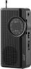 Prenosni radio JVC RA-E311B, črn, FM/AM, zunanji antenna, baterijski napajalnik, prostornina 0,25 W, 1x 3,5 mm vhod, kompakten in lahek - idealen za zabavo na poti.
