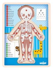 Woody Puzzle "Človeško telo" - Kluk SK