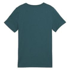 Puma Majice zelena S Squad Big Graphic Tee