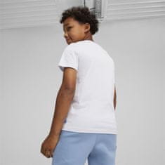 Puma Majice siva XXL X Playstation Tee