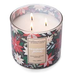 Colonial Candle Svíčka Deco, Cranberry Plum, Brusinková švestka, 396 g