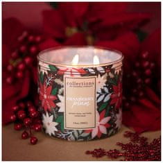 Colonial Candle Svíčka Deco, Cranberry Plum, Brusinková švestka, 396 g