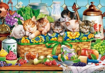 Castorland Puzzle Speči mladiči 1000 kosov