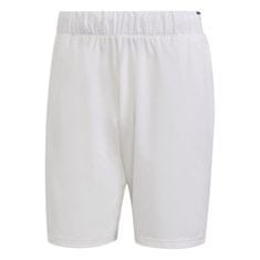 Adidas Hlače obutev za trening bela 188 - 193 cm/XXL Club Stretch Woven