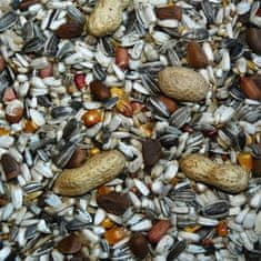 Avicentra Zlata velika papiga 850g
