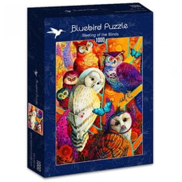 BLUEBIRD Puzzle Srečanje misli 1000 kosov