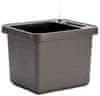 Plastia Škatla BERBERIS UNO za samooskrbo + kati 45x39x35cm