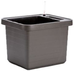 Plastia Škatla BERBERIS UNO za samooskrbo + kati 45x39x35cm