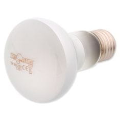 REPTI PLANET Daylight Frosted 75W žarnica