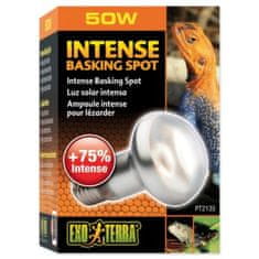 EXO TERRA Žarnica Intense Basking Spot 50W