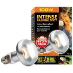 EXO TERRA Žarnica Intense Basking Spot 100W