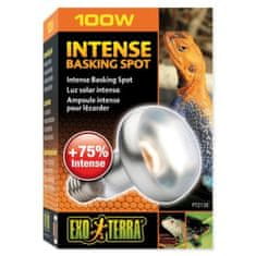 EXO TERRA Žarnica Intense Basking Spot 100W