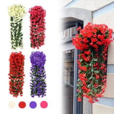 Cool Mango Dekorativna viseča roža – Hangyplant