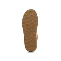 BEARPAW Škornji elegantni čevlji rjava 41 EU Super Shorty Iced Coffee