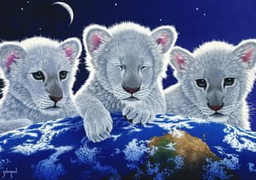 Grafika Puzzle Skrivnost, skrivnost in upanje 1500 kosov