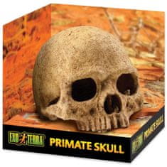 EXO TERRA Dekoracija človeška lobanja