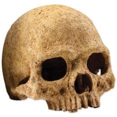 EXO TERRA Dekoracija človeška lobanja