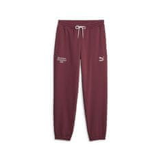 Puma Hlače 182 - 187 cm/L Team