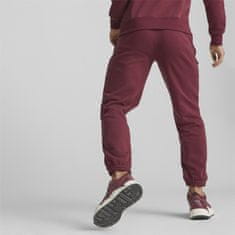 Puma Hlače 182 - 187 cm/L Team