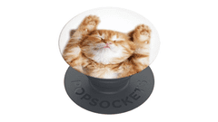 PopSockets Držalo / stojalo Popgrip Basic - Snoozy Cat