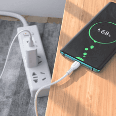 Borofone Podatkovni kabel BX51 (Fast Charge) 3,0A 60W vhod Type-C na Type-C 1m, bel