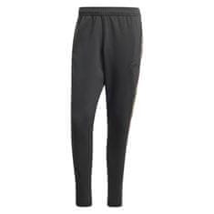 Adidas Hlače črna 164 - 169 cm/S M Tiro Pt Q2