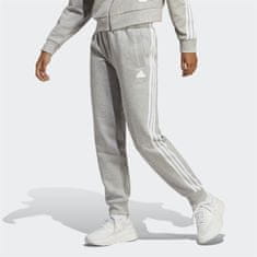 Adidas Hlače siva 158 - 163 cm/S W Fi 3s Reg Pnt