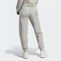 Adidas Hlače siva 158 - 163 cm/S W Fi 3s Reg Pnt