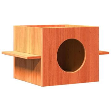 Vidaxl Hiša za mačke voščeno rjavo 51x35x30 cm masivni les borovega
