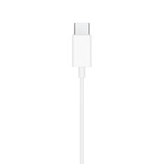 Viking Slušalke V15/USB-C/Wire/White/White