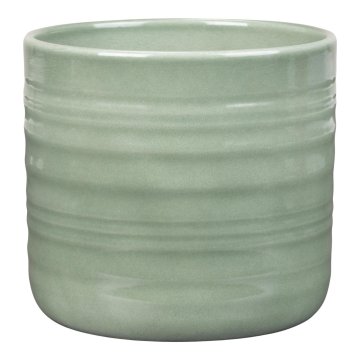 Embalaža 850 Salvia gloss 14 - 5 kosov