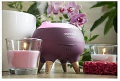 Concept Aroma difuzor Berry DF1011 Perfect Air