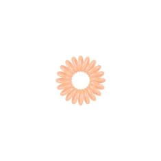 Invisibobble Extra Care Delicate Duties Hair Eraser 6 kosov