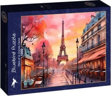 BLUEBIRD Puzzle Paris et la Grande Dame 1000 kosov