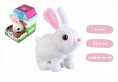 Teddies Zajček Ben