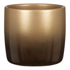Prevleka 900 Nobel Gold gloss 15 /božična razprodaja/ - 4 kosi