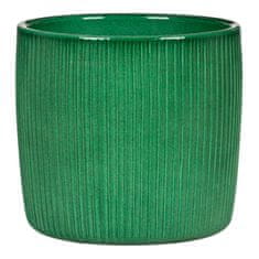 Prevleka 909 Cactus Green gloss 13 /Koletni 2024/ - 5 kosov