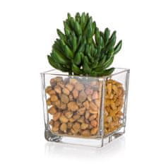 HOME DECOR Sukulenta v stekleni vazi s kamni 10 x 16 cm, zelena