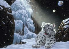 Grafika Puzzle Ice Home 1000 kosov