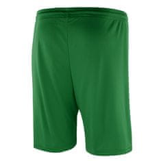 Lotto Hlače zelena 188 - 193 cm/XXL Elite
