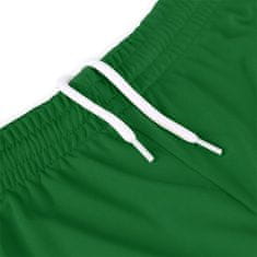 Lotto Hlače zelena 188 - 193 cm/XXL Elite