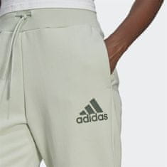Adidas Hlače siva 170 - 175 cm/L HL4418