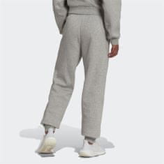 Adidas Hlače siva 164 - 169 cm/M HK0442