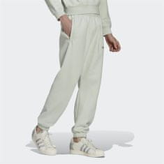 Adidas Hlače bela 170 - 175 cm/M Trf Linear Sp