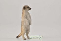 COLLECTA Suricata stoji