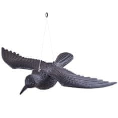 shumee Krokar v letu - strašilec golobov in drugih ptic