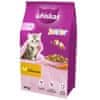 Whiskas WHISKAS Junior s piščancem - suha hrana za mačke - 14kg
